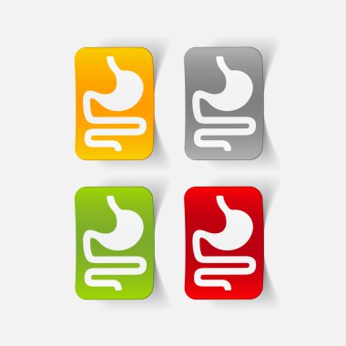 gerçekçi tasarım öğesi: mide, tıbbi