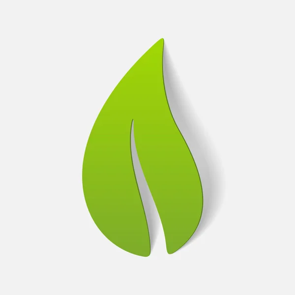 Realistic design element: leaf — Stock Vector