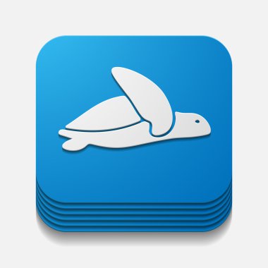 App kavramı, kaplumbağa, sürüngen