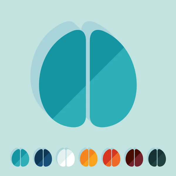 Diseño plano: cerebro — Vector de stock