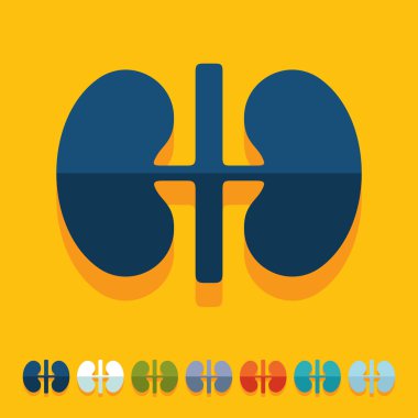 düz tasarım: böbrekler