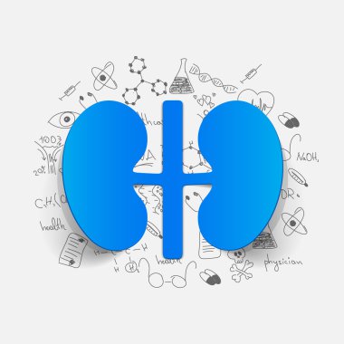 tıbbi formüller çizim: böbrekleri