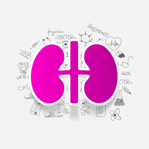 Kidney inside medical formulas — Stock Vector