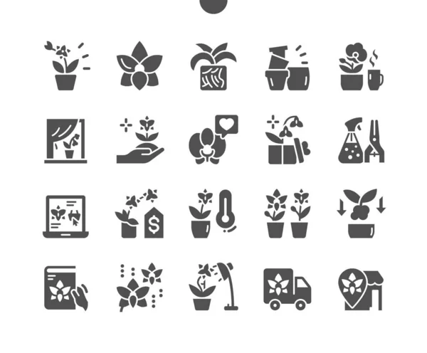 Orquídeas. Flor, decoración, planta, jardín y flor. Trasplantar una flor. Orquídea favorita. Vector Solid Icons. Pictograma simple — Archivo Imágenes Vectoriales