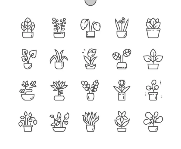 Plantes d'intérieur. Botanique et flore. Pot de fleurs. Pixel Perfect Vector Thin Line Icônes. Pictogramme minimal simple — Image vectorielle