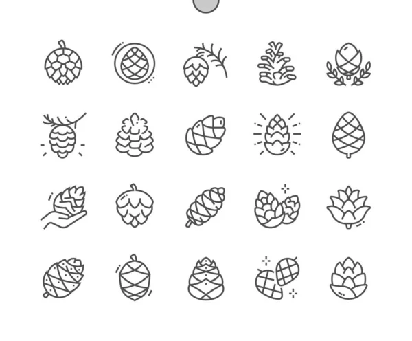 Tallkottar. Skogsträd. Naturlig botanik. Pixel perfekt vektor tunn linje ikoner. Enkelt minimalt piktogram — Stock vektor