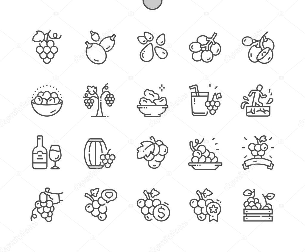 Grape fruit. Barrel of wine. Nature organic food nutrition. Food shop, supermarket. Pixel Perfect Vector Thin Line Icons. Simple Minimal Pictogram