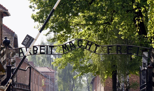 Auschwitz, Birkenau'dan bir resim