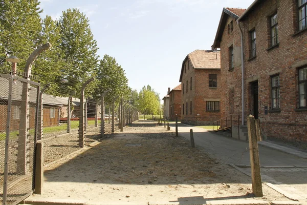 Auschwitz'ten resim
