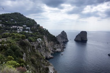 Capri