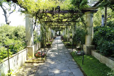 Capri
