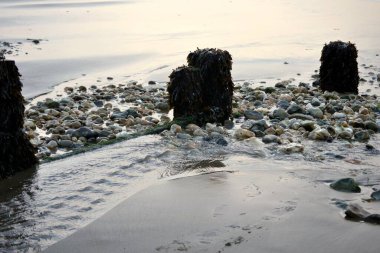 Denizin kıyısındaki sahil kırıcıları