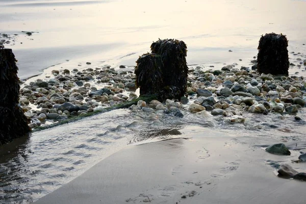 Denizin kıyısındaki sahil kırıcıları