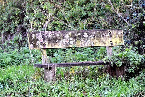 Old Wooden Bench Countryside — Stock Photo, Image
