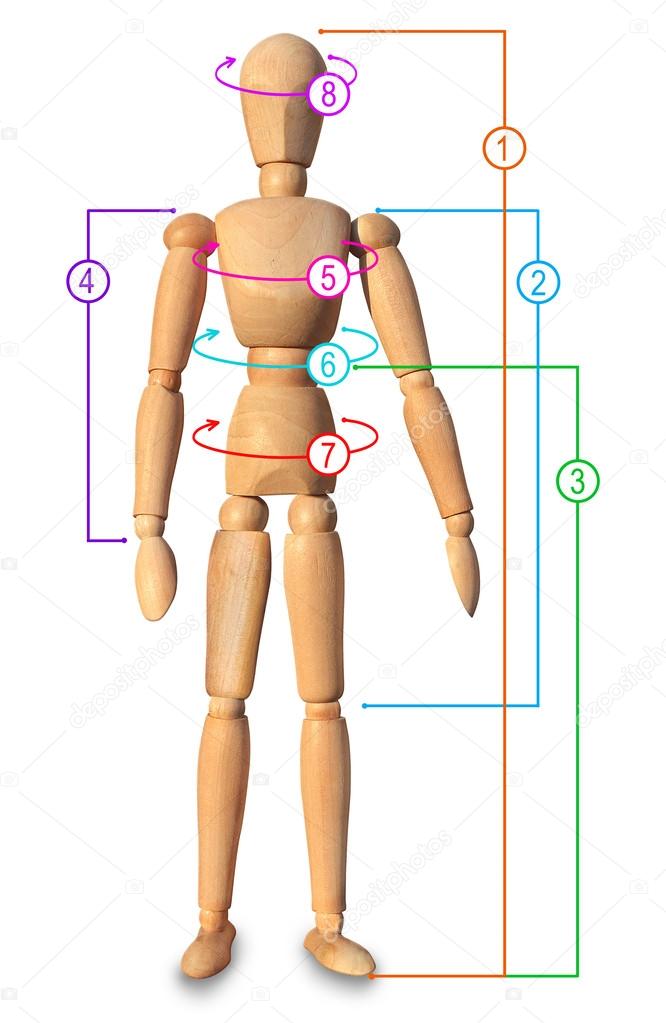 tailor body measure circuits size clothing weight loss stock weight loss body measurement
