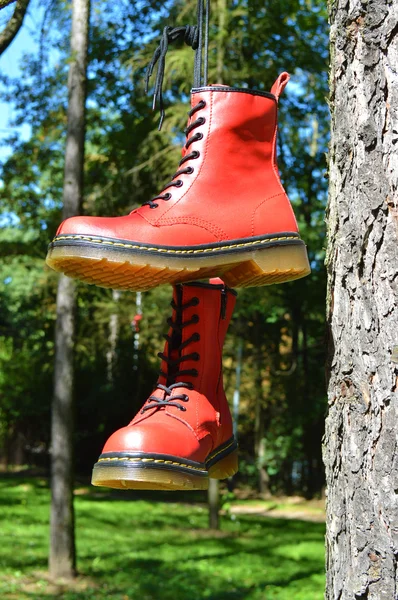 Zapatos rojos colgados en el árbol — Foto de Stock