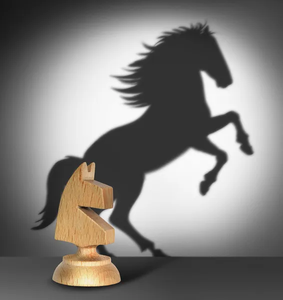 Σκάκι άλογο με σκιά ως ένα άγριο άλογο — Φωτογραφία Αρχείου