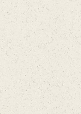 Kağıtların Yapısı