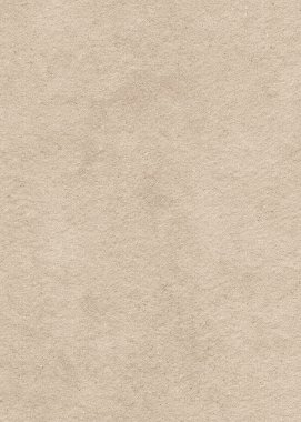 karton kağıt yaprağının