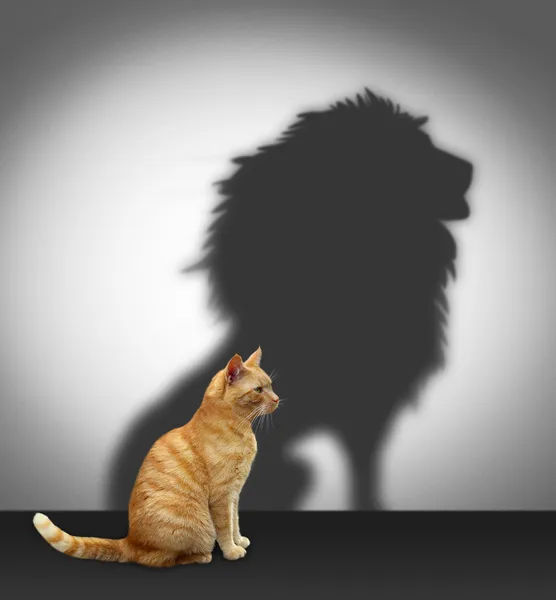 Cat with lion shadow — Stock Photo, Image