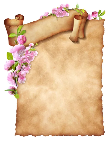 Лист старой бумаги с кудрявым баннером и цветочным декором — стоковое фото