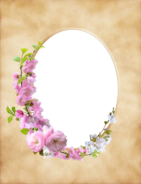 Оладовая листовая бумага с цветочным декором — стоковое фото