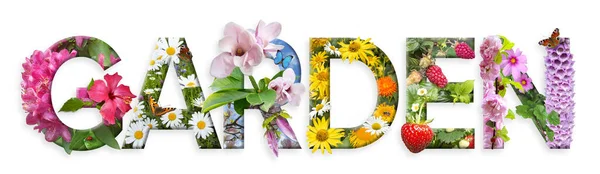 Сад Цветочные Письма Буквы Сделаны Разноцветной Флове — стоковое фото