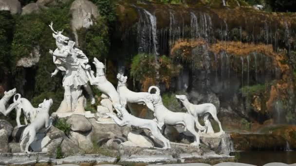 Fountain Reggia Caserta Istana Kerajaan — Stok Video