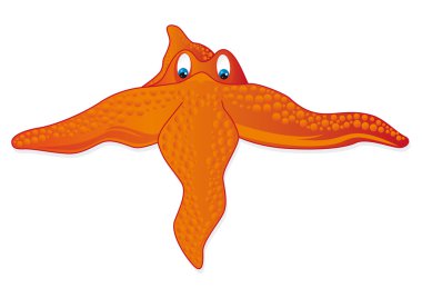 Turuncu denizyıldızı