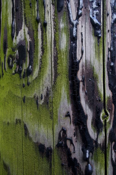 Teer en hout textuur — Stockfoto