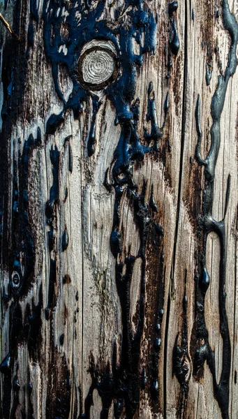 Textura de madera y alquitrán —  Fotos de Stock