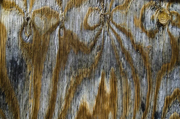 Weathered wood grain — Stock Photo, Image