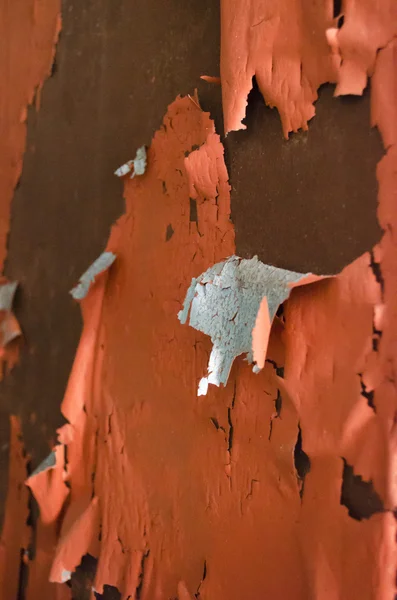 Getrocknete Peeling Farbe Detail — Stockfoto