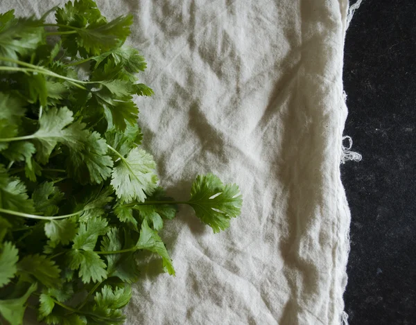 Salantro pamuk üzerinde