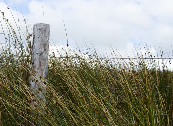 Fence post in field — Stock Photo, Image