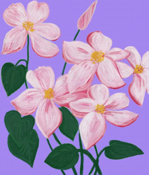 resmi bir yazar pembe akasma