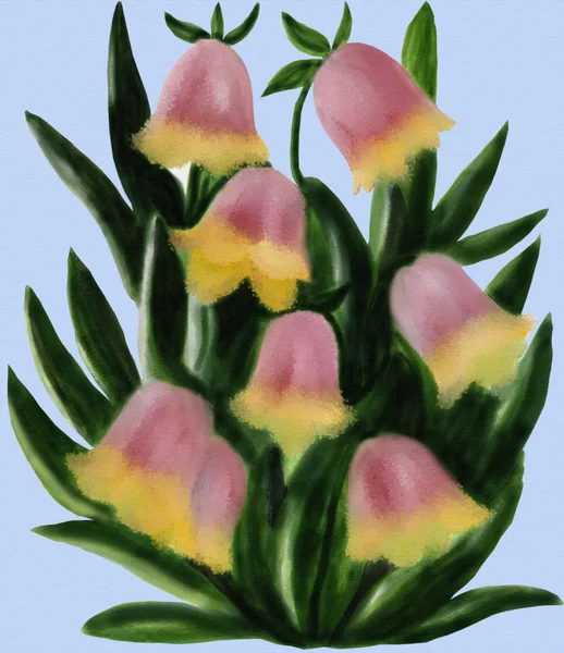 bluebells yazar tarafından boyalı rakam