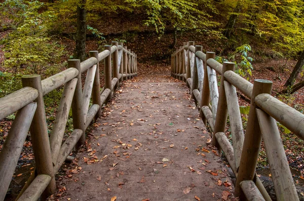 Yedigoller Milli Parkı, Bolu, Türkiye 'de sonbahar manzaraları ve ahşap köprü