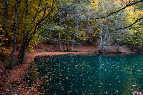 Yedigoller Milli Parkı, Bolu, Türkiye 'de sonbahar sezonu manzaraları