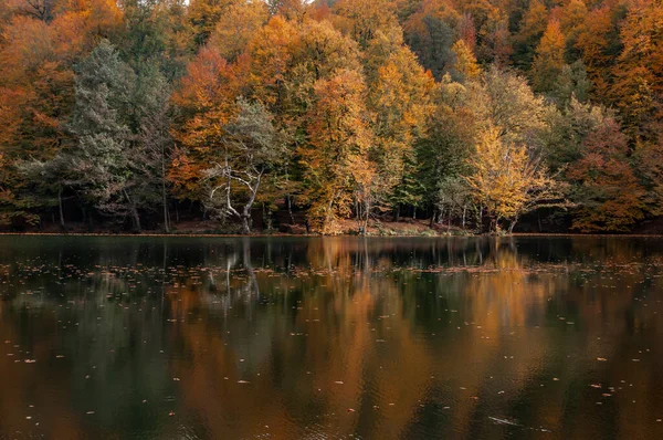 Yedigoller Milli Parkı, Bolu, Türkiye 'de sonbahar sezonu manzaraları