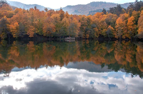 Yedigoller Milli Parkı, Bolu, Türkiye 'de sonbahar sezonu manzaraları