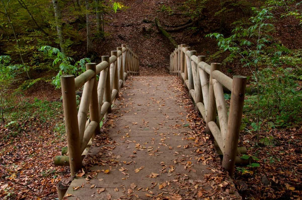Yedigoller Milli Parkı, Bolu, Türkiye 'de sonbahar manzarası ve ahşap köprü