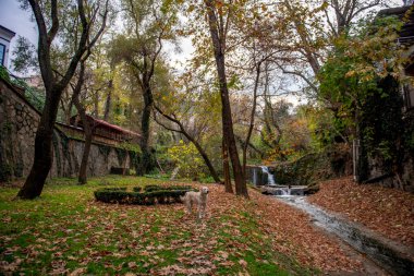 Gokdere Parkı, Bursa Türkiye