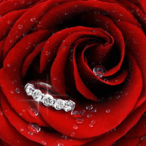 Rosa roja con anillo de diamantes de primer plano — Foto de Stock