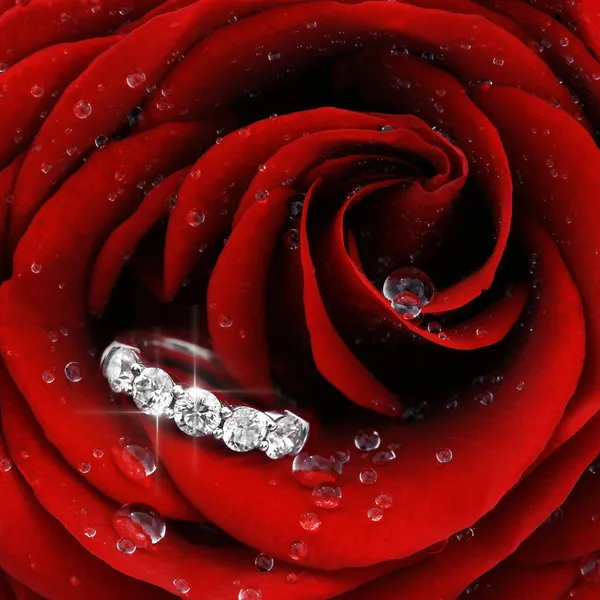 Rosa vermelha com anel de diamante close-up — Fotografia de Stock