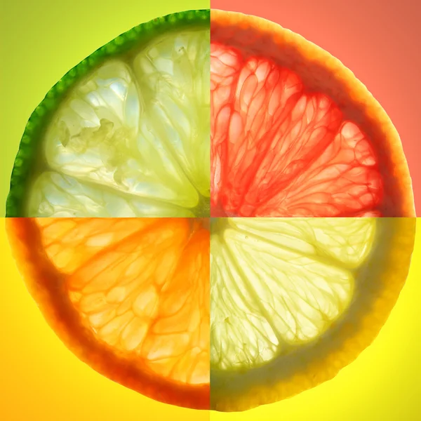 Schijfje citrus — Stockfoto