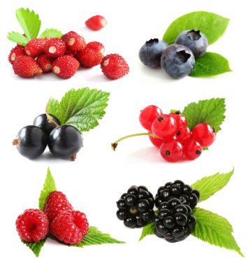 Summer berries isolated on white clipart