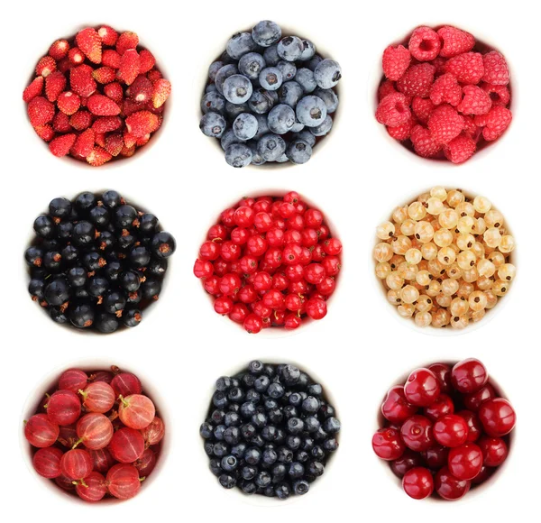 Summer fruit collection — Stock Photo, Image