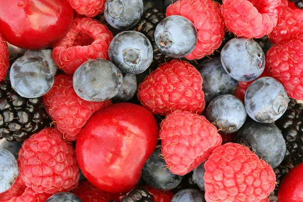 Summer berries background — Stock Photo, Image