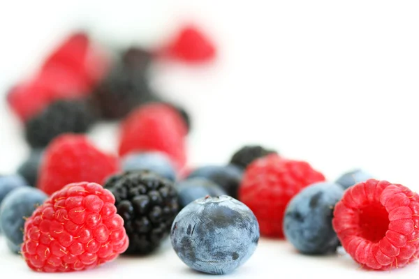 Summer berries on white — Stock Photo, Image